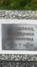 Захоронение ID 3579743