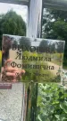 Захоронение ID 3579823
