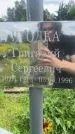 Захоронение ID 3579850