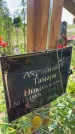 Захоронение ID 3580026