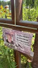 Захоронение ID 3580027