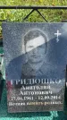 Захоронение ID 3580036