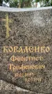 Захоронение ID 3580069
