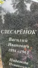 Захоронение ID 3580083