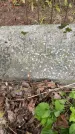Захоронение ID 3580103