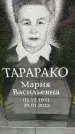 Захоронение ID 3580159