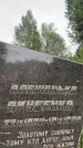 Захоронение ID 3580295