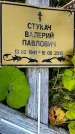 Захоронение ID 3580326