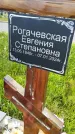 Захоронение ID 3580337