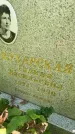 Захоронение ID 3580384