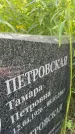 Захоронение ID 3580398