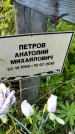 Захоронение ID 3580415