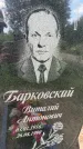 Захоронение ID 3580481