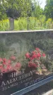 Захоронение ID 3580486