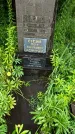 Захоронение ID 3580519