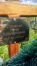 Захоронение ID 3580604
