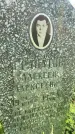 Захоронение ID 3580610