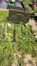 Захоронение ID 3580666