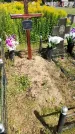 Захоронение ID 3580717