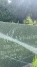 Захоронение ID 3580750