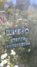 Захоронение ID 3580778