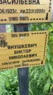 Захоронение ID 3580785