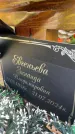 Захоронение ID 3580802