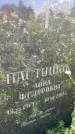 Захоронение ID 3580849