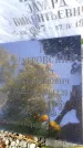 Захоронение ID 3580910