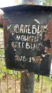 Захоронение ID 3580923
