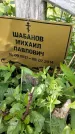Захоронение ID 3581001