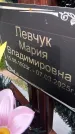 Захоронение ID 3581005