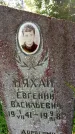 Захоронение ID 3581006