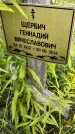 Захоронение ID 3581096
