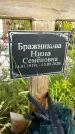 Захоронение ID 3581104