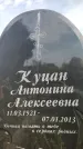 Захоронение ID 3581198