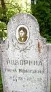 Захоронение ID 3581245