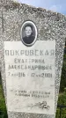 Захоронение ID 3581284