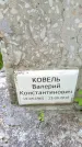 Захоронение ID 3581302