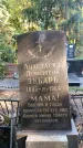 Захоронение ID 3581409
