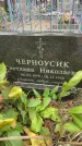 Захоронение ID 3581458
