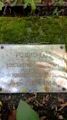 Захоронение ID 3581478