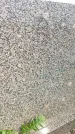 Захоронение ID 3581521