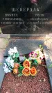 Захоронение ID 3581557