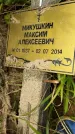 Захоронение ID 3581571