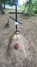 Захоронение ID 3581800