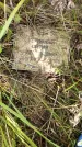 Захоронение ID 3581813