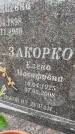 Захоронение ID 3581832
