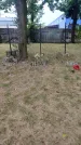 Захоронение ID 3581837