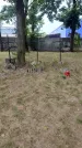 Захоронение ID 3581838